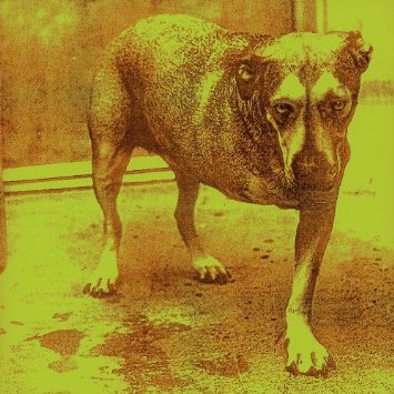 Alice In Chains top 50 songs